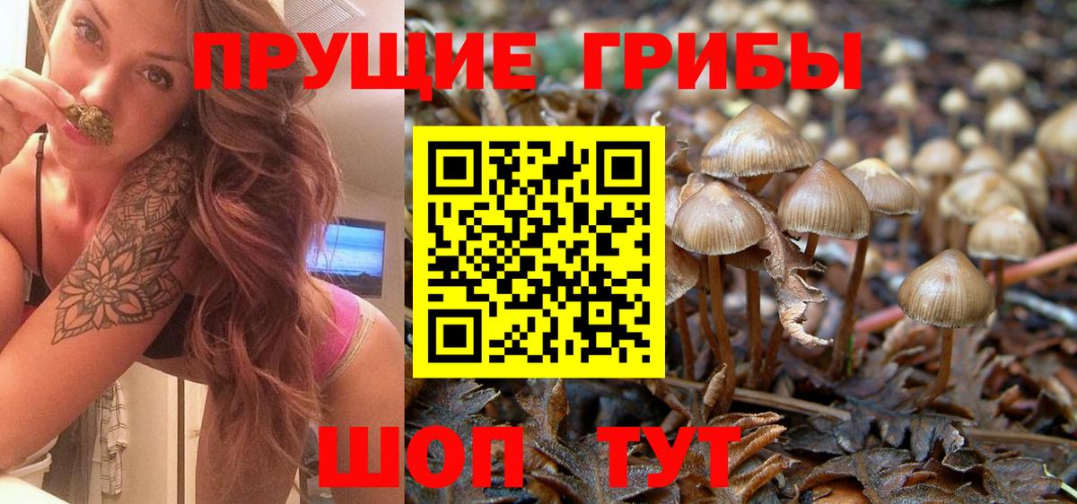 Псилоцибиновые грибы мухоморы Хасавюрт