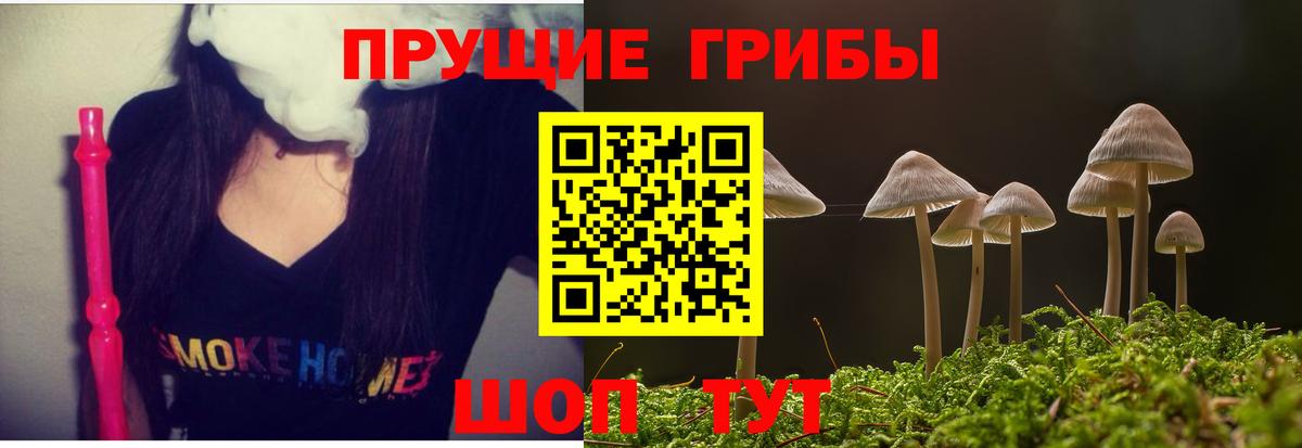 Галлюциногенные грибы MAGIC MUSHROOMS  Псилоцибиновые грибы Psilocybine cubensis  Вход с VPN  Хасавюрт 